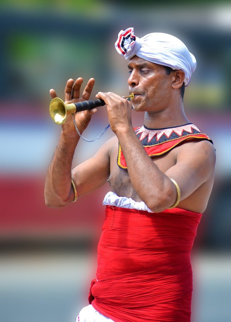 parade, local trumpet, musician-292300.jpg